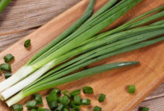 Daun Bawang, Sayuran Sederhana dengan Manfaat Luar Biasa untuk Tubuh