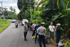 NMax Bertabrakan dengan Calya, Pria Lansia Tewas
