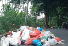 Tumpukan Sampah Sudah Beberapa Pekan Tak Diangkut