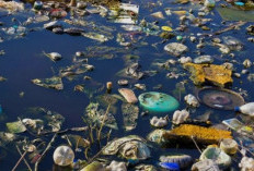 Air Bersih Kunci Hidup Sehat, Ini Bahaya Air Tercemar yang Perlu Diwaspadai