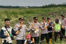 Hasil Panen Belum Maksimal Terganjal Hama dan Pupuk