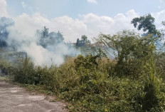 Karhutla Hantui OKU, Terjadi Dua Titik Kebakaran Dalam Sepekan