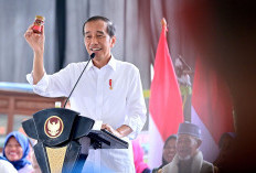 Jokowi Kaget Nasabah PNM Mekaar Bisa Kreatif