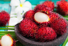 Manfaat Mengonsumsi Rambutan Bagi Kesehatan