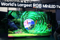 TV RGB Mini LED 116 Inci dengan Teknologi Cyan Pertama di Dunia Hisense 116UXS Resmi Meluncur di CES 2026