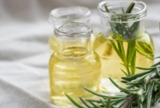 7 Manfaat Rosemary Oil untuk Kesehatan Rambut, Tubuh, dan Pikiran