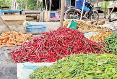 Harga Cabai di Pasar Tradisional Anjlok