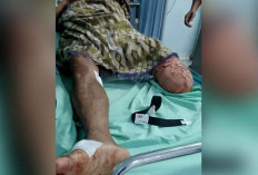 Lagi Mancing, Warga Mura Digigit Buaya Muara Sampai Kaki Putus