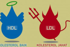 Jangan Cuma Takut Kolesterol Tinggi, Kekurangan Kolesterol Baik Juga Berbahaya!