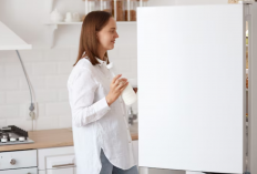 Kulkas Hemat Listrik Terbaik 2025, Nyala 24 Jam Tanpa Bikin Tagihan Bengkak