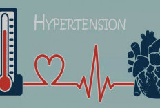 Jangan Salah! Ini Tipe-Tipe Hipertensi dan Penyebabnya