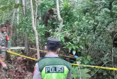  2 Orang Ditemukan Tak Bernyawa dengan Luka Tusukan di Kebun Karet