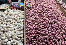 Pasca Lebaran, Harga Bawang Merah dan Putih Masih Tinggi