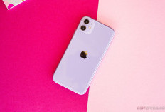 iPhone 11 Masih Tangguh di Tahun 2025, Masih Dapat Dukungan iOS 26