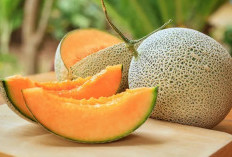 Atasi Flu Secara Alami dengan Melon yang Kaya Vitamin C