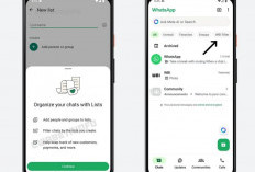 WhatsApp Hadirkan Fitur Filter Chat Kustom, Solusi Mudah Atur Percakapan untuk Pengguna dan Bisnis