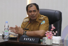Cuaca Panas Picu Risiko Karhutla, Warga Diminta Jangan Bakar Lahan