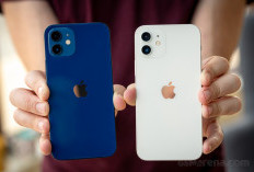 Meski Bukan Baru, iPhone 12 Bekas Tetap Dicari Banyak Orang di 2025