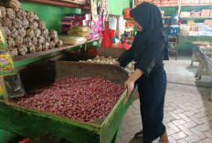 Bawang Merah Naik