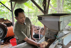 Bangga Jadi Pemasok Tempe Untuk Dapur MBG, Raih Omset Rp 1 Juta Perhari