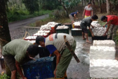 Petani mengeluh harga karet menurun