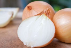 Biar Nggak Cepat Busuk, Ini 4 Cara Menyimpan Bawang Bombay dengan Benar