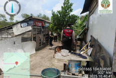 Hewan Ternak Warga Diduga Dimangsa Macan