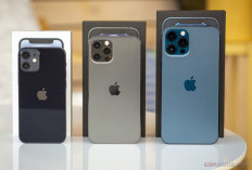 Meski Lawas, iPhone 12 Pro Max Tetap Laris Manis di Tahun 2025 