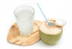 Manfaat Luar Biasa Minum Air Kelapa di Pagi Hari