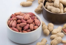 Rahasia Diet Sehat dengan Kacang Tanah: Murah, Bergizi, dan Mengenyangkan