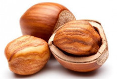 Hazelnut: Sumber Nutrisi Sehat dengan Segudang Manfaat
