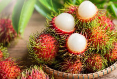 5 Manfaat Rambutan untuk Kesehatan Tubuh