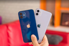 iPhone 11 Pro Series Masih Layak Dibeli di 2025, Ini Alasannya!