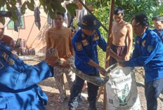 Masuk Rumah Warga, Ular Piton 2 Meter Dievakuasi Damkar OKU Selatan