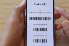 Jangan Sampai Tertipu! 5 Cara Mudah Cek IMEI iPhone yang Terdaftar di Indonesia