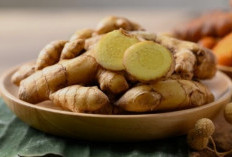 Kunyit Putih untuk Lambung: Herbal Alami yang Diyakini Membantu Redakan Masalah Pencernaan