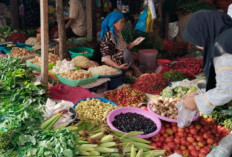 Harga Daging dan Bawang di OKU Stabil, November Diprediksi Naik