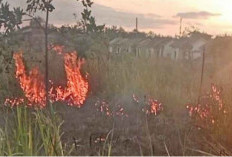 BPBD OKU Imbau Warga Waspada Karhutla di Musim Kemarau