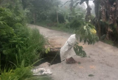 Jalan Amblas di Serakat Jaya, Akses Vital Warga Terancam Lumpuh