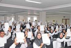 PNS Dilarang Terima Honor, BPK: Sudah Ada Gaji Pokok dan Tunjangan