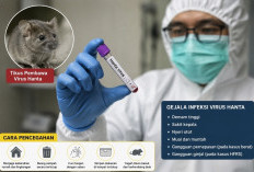 Mengenal Virus Hanta, Penyakit dari Tikus yang Harusi Diwaspadai