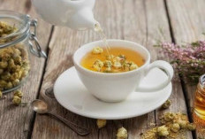 Bukan Sekadar Air Putih, Ini Minuman yang Baik untuk Pengidap Maag