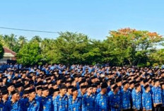 Belasan PPPK Paruh Waktu di OKU Mengundurkan Diri