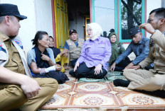 Warga Banyuasin Dua kali Selamat dari Terkaman Buaya 