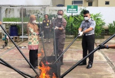 Musnahkan Narkotika hingga Senjata Tajam
