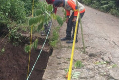 Hujan Deras Membuat Jalan Desa Tenang Longsor Sepanjang 35 Meter