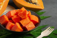 Redakan Perut Kembung dengan Makanan Sehat Ini