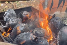 Dogan Bakar, Minuman Segar dengan Sejuta Manfaat Kesehatan