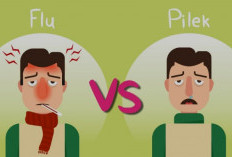 Sering Disangka Sama, Ini Perbedaan Flu dan Pilek yang Perlu Kamu Tahu