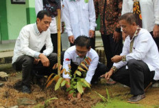MTsN 1 OKU Selatan Tanam Pohon Matoa hingga Durian